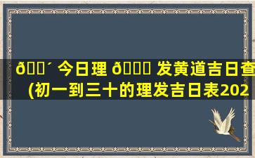 🐴 今日理 🐘 发黄道吉日查询(初一到三十的理发吉日表2023)